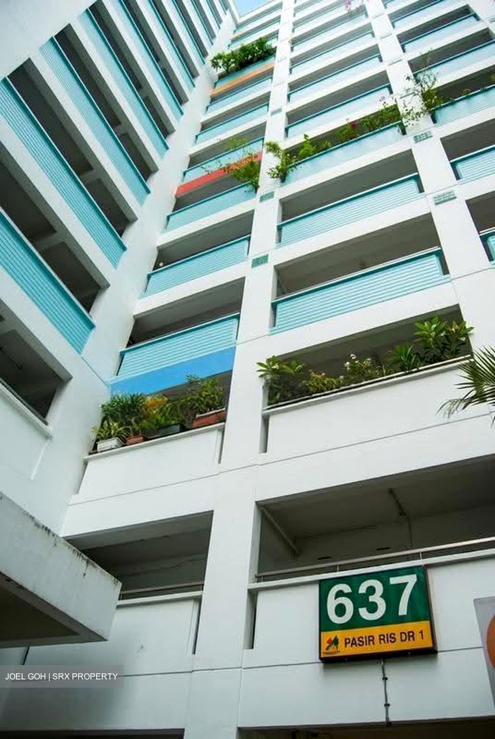 Blk 637 Pasir Ris Drive 1 (Pasir Ris), HDB 4 Rooms #622733221